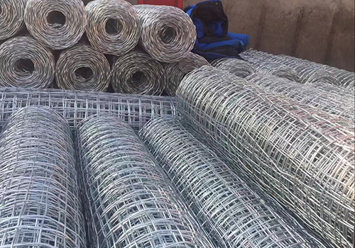 河北經緯網卷圖片4